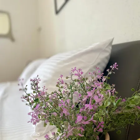 Dinka Old Town With Sea View * 트로기르