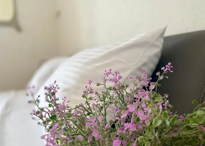 Dinka Old Town With Sea View * Traù